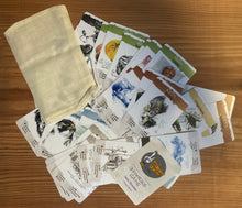 Load image into Gallery viewer, 7 Families Game (Jeu des 7 Familles)