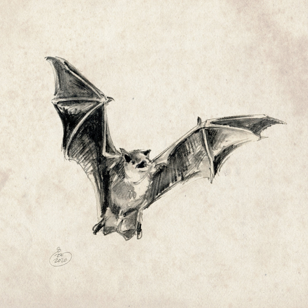Flying bat
